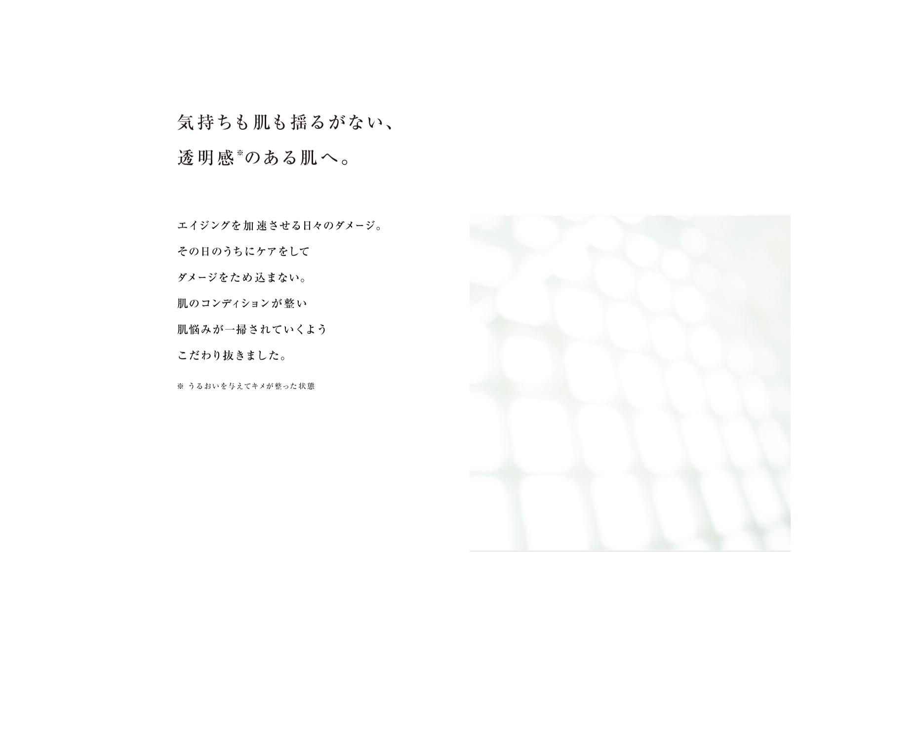 reveiiler レヴェイエ ザカクテル