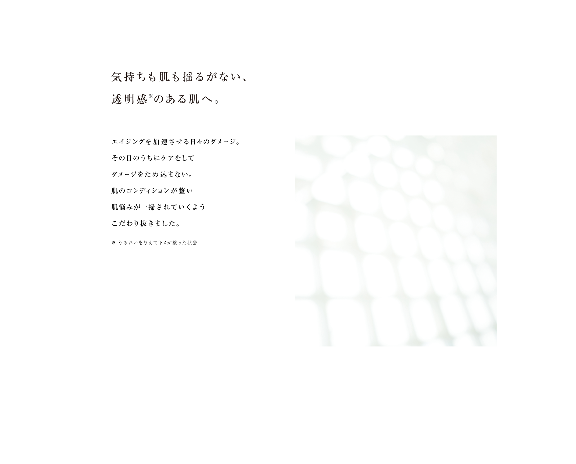 reveiiler レヴェイエ ザカクテル